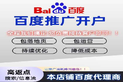 某公司通过竞价SEM优化搜索引擎排名案例